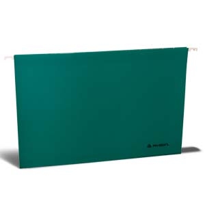 Carpeta Colgante Rhein s/class Verde<font color="red"; size= "2"><sup> (SA)<sup></font>