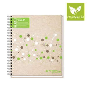 QUIEBRE 04-02 (Cuaderno Rhein Green Carta Matemática 7mm 120hj)