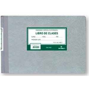 Libro de Clases Rhein Eduacional Especial o Diferencial