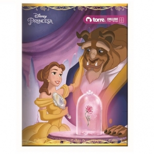 Cuaderno College Torre Princesas 7mm 100hj