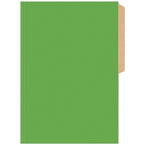 Carpeta Cartulina Buho Oficio Verde Claro<font color="red"; size= "2"><sup> (SA)<sup></font>