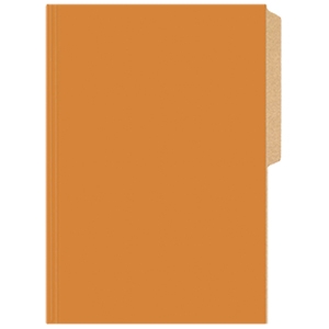 Carpeta Cartulina Buho Oficio Naranja
