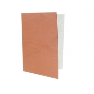 Carpeta Plastificada con Acco Beige<font color="red"; size= "2"><sup> (SA)<sup></font>