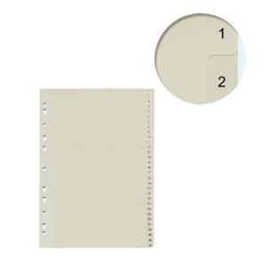 Separador Datazone A4 Plástico 1/31 Numerada <font color="red"; size= "2"><sup> (SA)<sup></font>