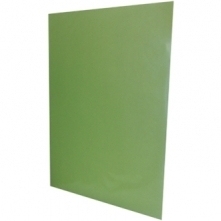Carpeta Plastificada sin Acco Verde Claro
