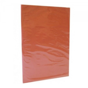 Carpeta Plastificada sin Acco Naranja