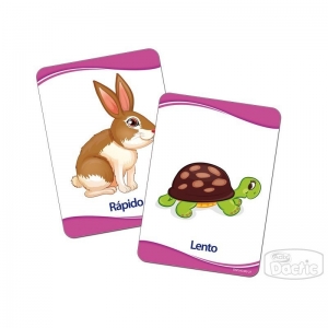 Lamina Dactic Conceptos