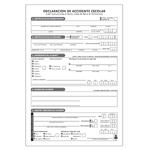 Block Certificados Buho Accidentes Escolares Quintuplicado 50 un