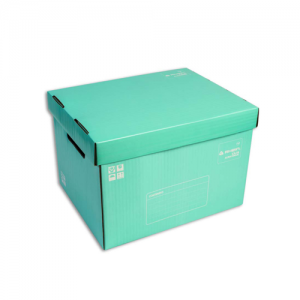 Caja Archivo Americana Rhein Menta 40x30x26cm<font color="red"; size= "2"><sup> (SA)<sup></font>