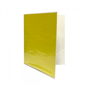 Carpeta Plastificada CI sin Gusano Amarilla