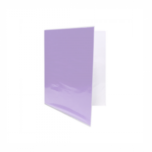 Carpeta Plastificada CI Sin Gusano Lila