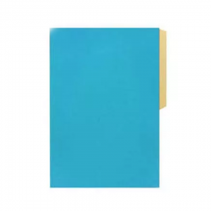 Carpeta Pigmentada Hand Celeste